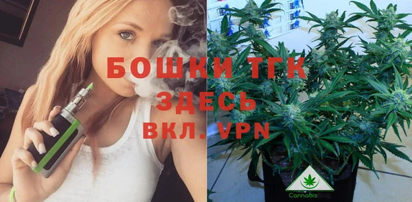 мет Протвино