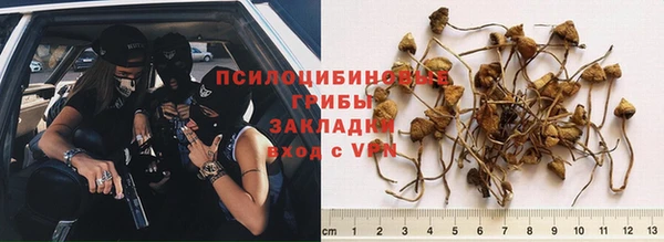 мет Протвино